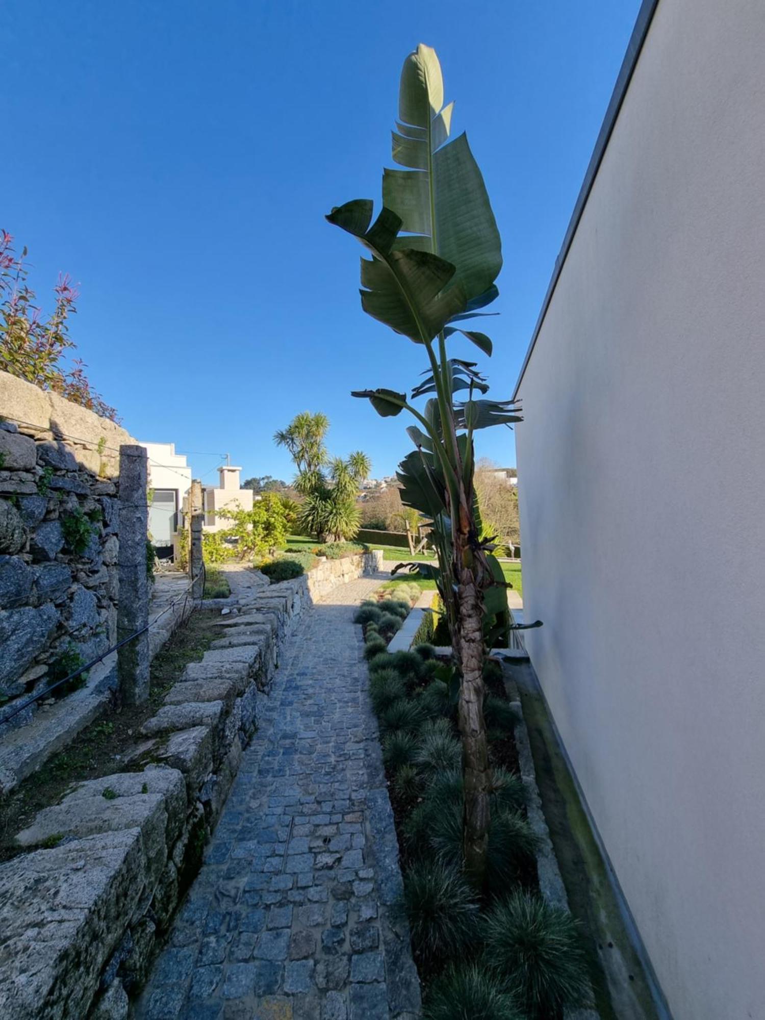 Casa Da Leira Villa Amarante Exterior photo