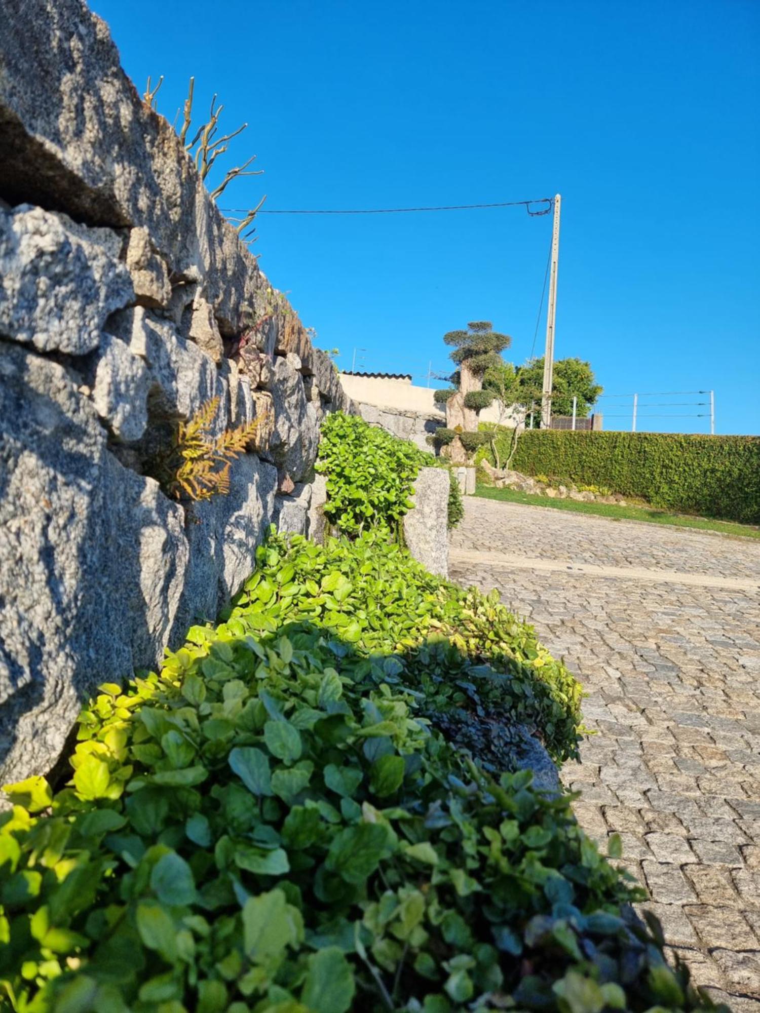 Casa Da Leira Villa Amarante Exterior photo